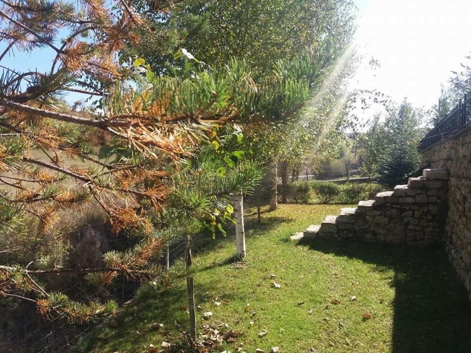Vila118 Voskopojë Екстериор снимка